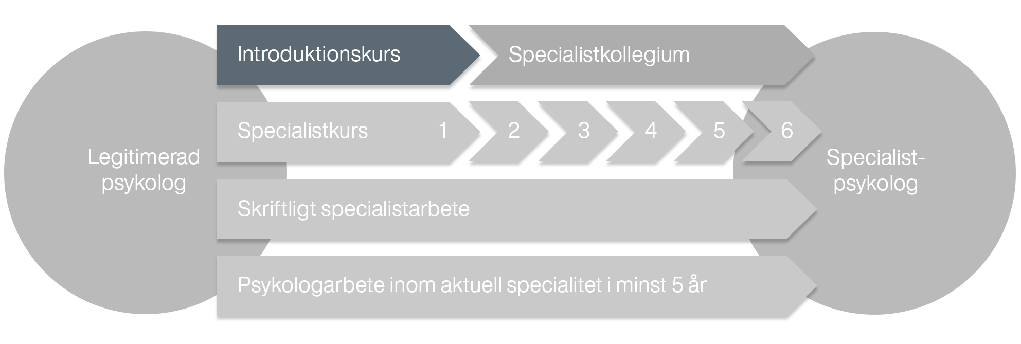 En illustration som visar hur introduktionskursen förhåller sig till övriga utbildningsmoment som ingår i specialistutbildningen.