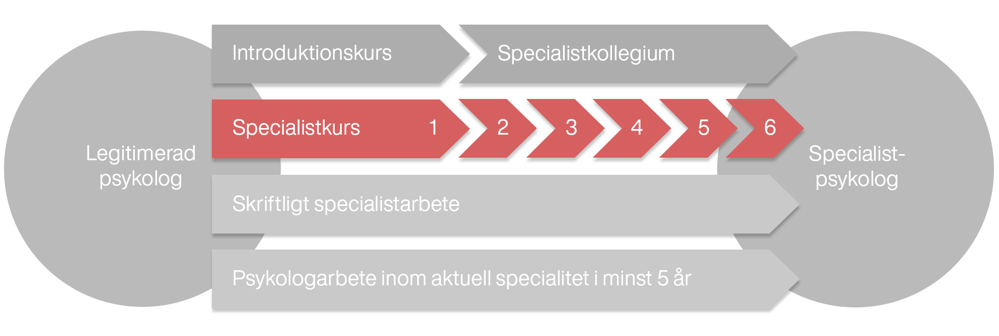 En illustration som visar hur specialistkurserna förhåller sig till övriga utbildningsmoment som ingår i specialistutbildningen.