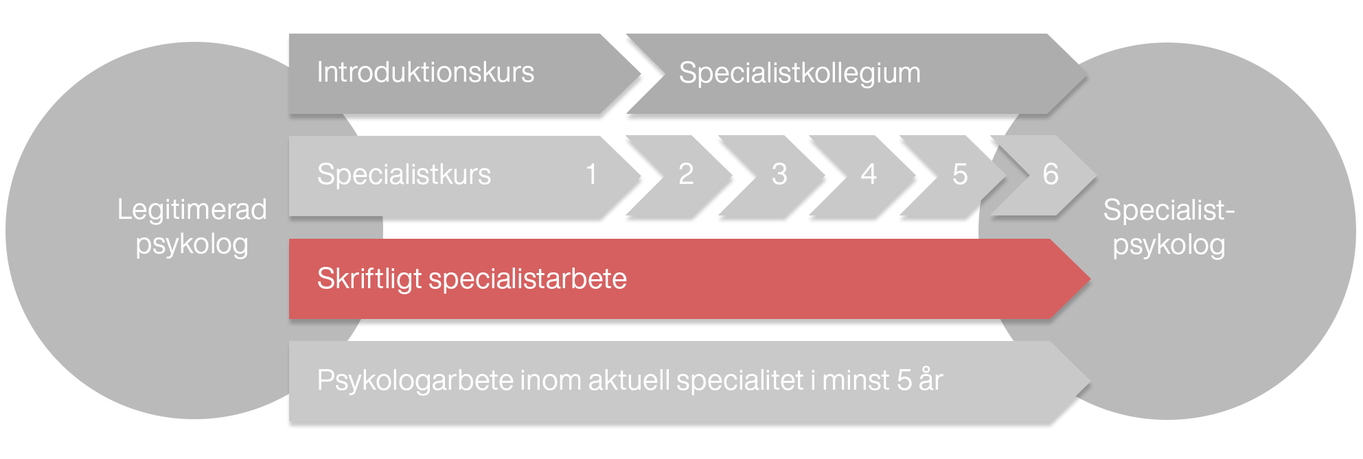 En illustration som visar hur specialistarbetet förhåller sig till övriga utbildningsmoment som ingår i specialistutbildningen.