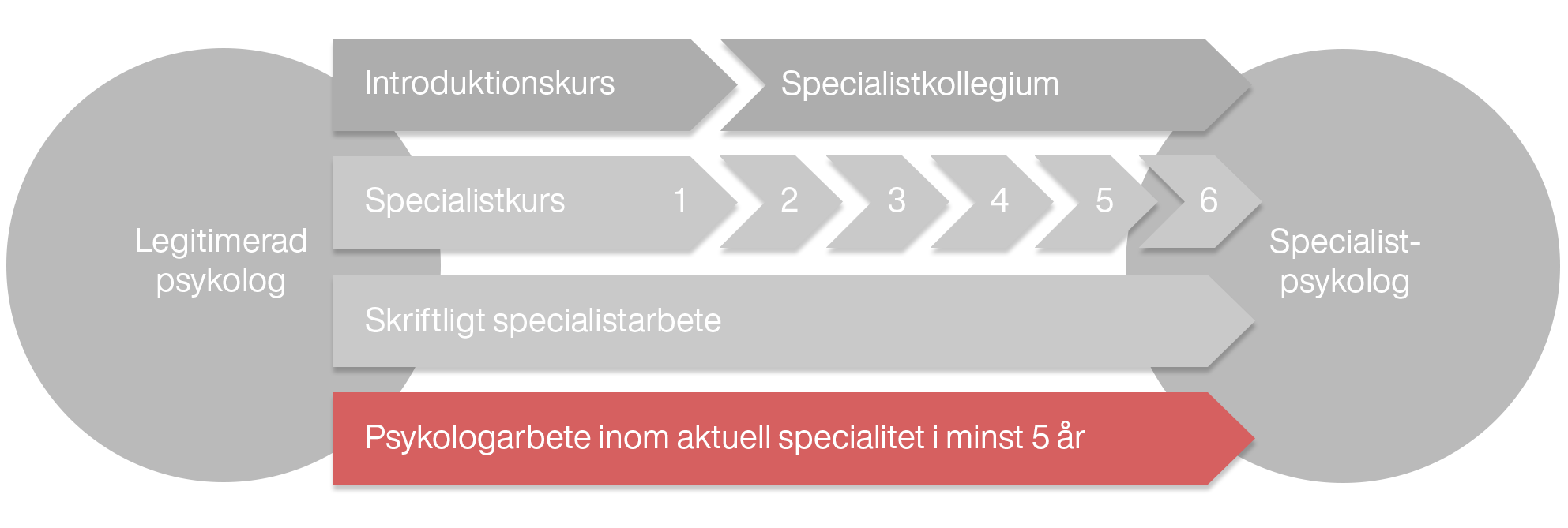 En illustration som visar hur tjänstgöringen förhåller sig till övriga utbildningsmoment som ingår i specialistutbildningen.