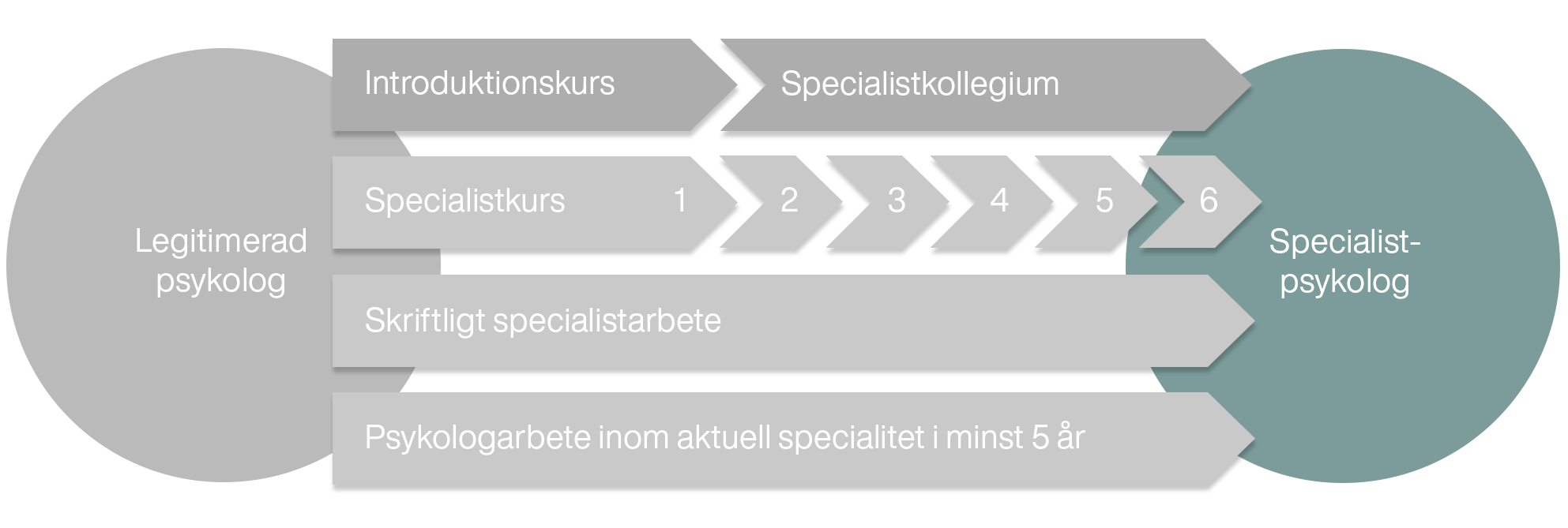 En illustration som visar att du, efter att ha genomfört samtliga moment inom specialistutbildningen, ansöker om specialistbehörighet och blir specialistpsykolog.